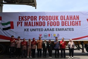 WhatsApp Image 2025-12-19 at 15.29.23 (1)